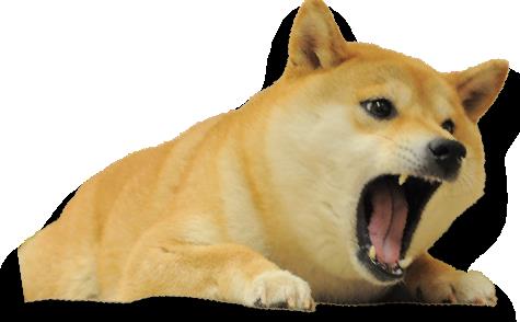 DƬ